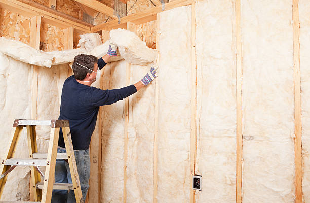 Best Eco-Friendly or Green Insulation Solutions  in Clarkson Valley, MO